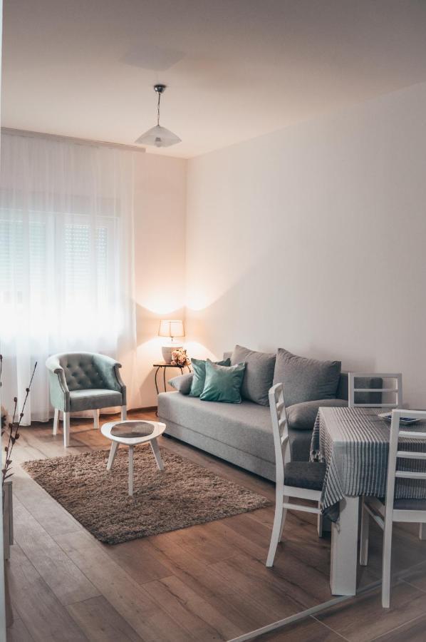 Apartman Lena Banja Koviljaca Exterior photo